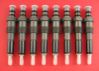 Ford IDI Diesel Injectors
