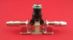 EcoDiesel 3.0L METAL Fuel Injector Return Line Fitting  - ECD-METAL