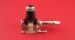 Single L 2.0 TDI Injector Fitting 